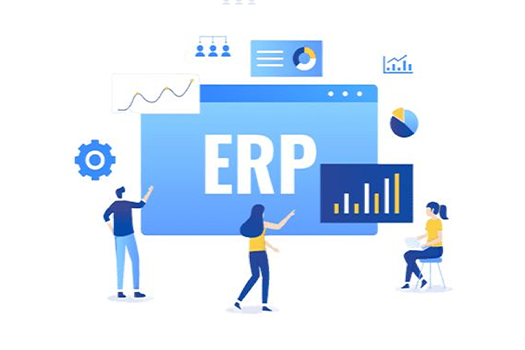 ERP Projects